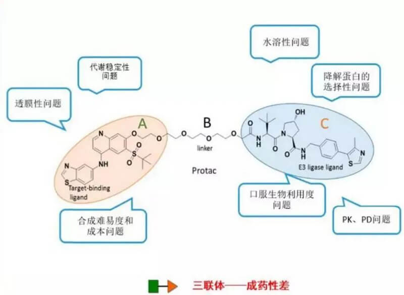 PROTAC分子量较大，溶解性较差.jpg